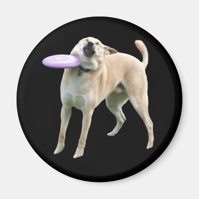 Imã Memória do Cachorro Frisbee (Frente)