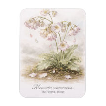 Memoria Evanescens – O Florescer Esquecido Botânic