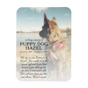 Ímã memorial de fotografias do lado direito