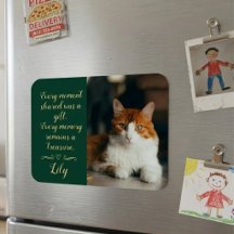 Memorial de Perda de Gato Foto Personalizada Nome