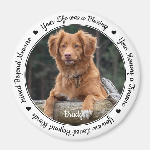Imã Memorial de Pet Perde Simpatia Keepsaokie