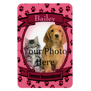 Ímã Memorial de Pinças Imprime para Gato ou Cão