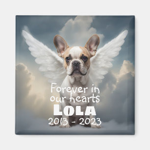 Imã Memorial do Bulldog Francês