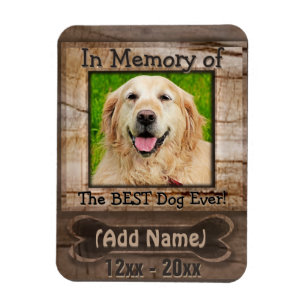 Ímã Memorial do Cão