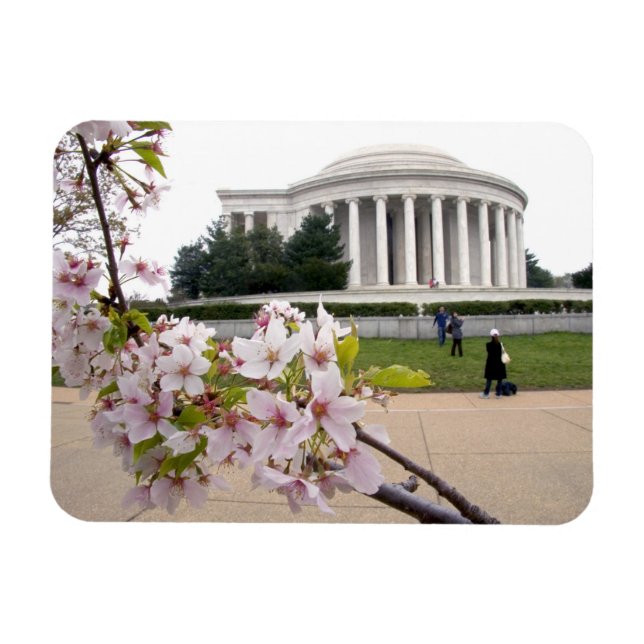Ímã Memorial Thomas Jefferson com flores de cerejeira (Horizontal)
