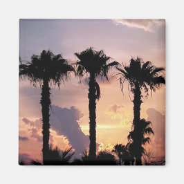 Imã Memories of Palm Trees at Sunset | Limassol Cyprus
