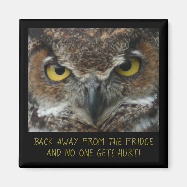Imã Menacing Owl Photo - PERFECT DIET MAGNET! (Frente)