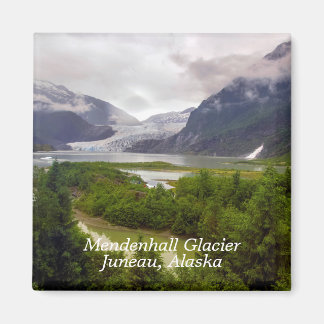 Imã Mendenhall Glacier Juneau Alaska Magnet