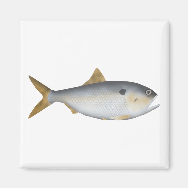 Imã Menhaden Argentino (Frente)