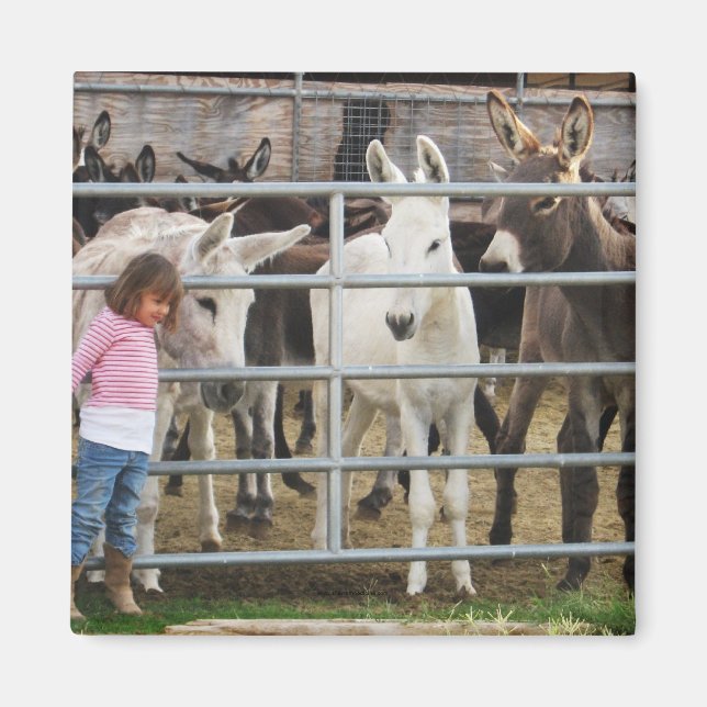 Imã Menina e Macacos Bonitos (Frente)