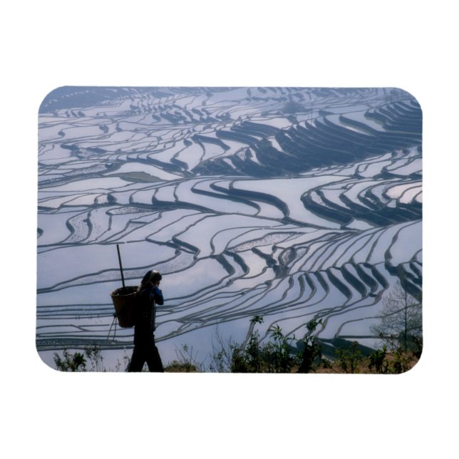 Ímã Menina Hani carregando cesto com terraço de arroz, (Horizontal)