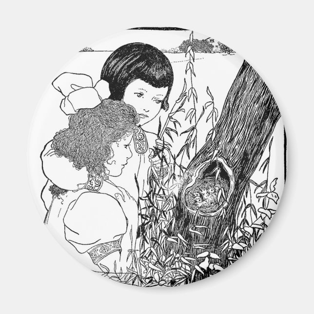 Imã Meninas Encontraram Um Ninho De Pássaros (Frente)