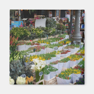 Imã Mercado da tulipa de Amsterdão