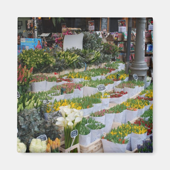 Imã Mercado das Tulipas de Amsterdã (Frente)