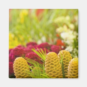 Imã Mercado semanal de frutas e vegetais na sexta-feir