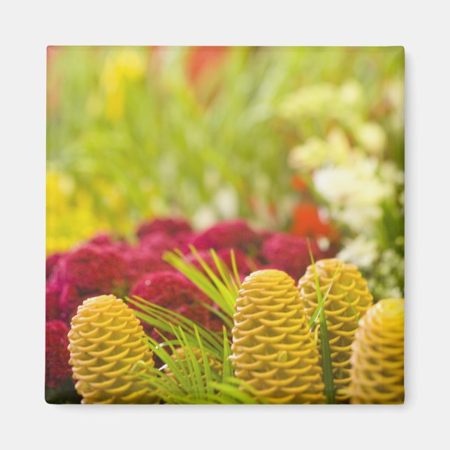 Imã Mercado semanal de frutas e vegetais na sexta-feir (Frente)