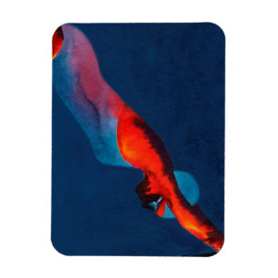 Ímã Mergulhador 2011