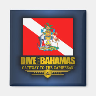 Imã Mergulham os Bahamas 2