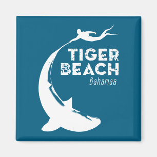 Imã Mergulho com Tubarões na Tiger Beach
