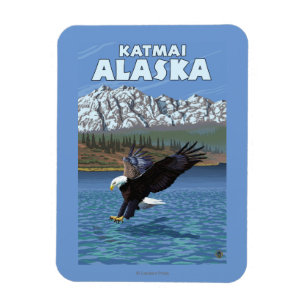 Ímã Mergulho da águia americana - Katmai, Alaska