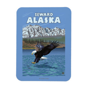 Ímã Mergulho da águia americana - Seward, Alaska