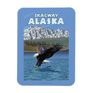 Ímã Mergulho da águia americana - Skagway, Alaska