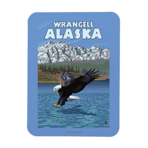 Ímã Mergulho da águia americana - Wrangell, Alaska
