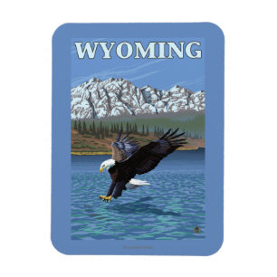 Ímã Mergulho da águia americana - Wyoming
