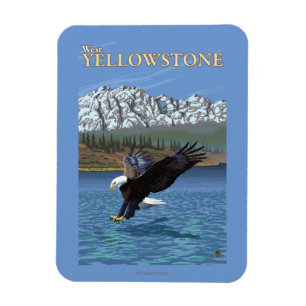 Ímã Mergulho da águia americana - Yellowstone