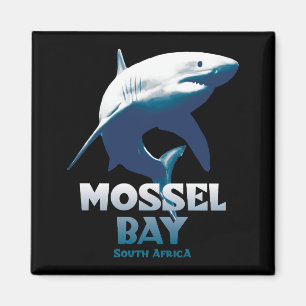 Imã Mergulho Scuba no Excelente de Mossel Bay White Sh