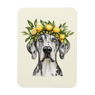 Ímã Merle Great Dane Dog Lemon Crown