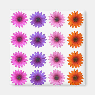 IMÃ MERRY CHRISTMAS