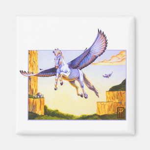 Imã Mesa Pegasus