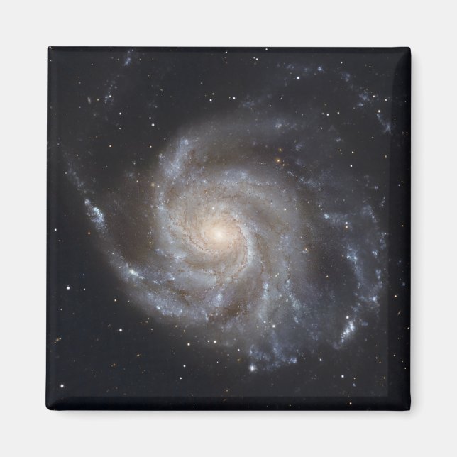 Imã Messier 101, a Galáxia PinWheel (Frente)