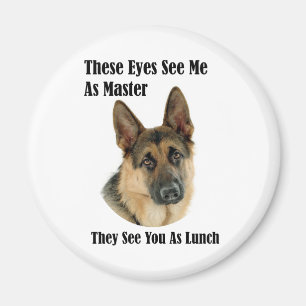 Imã Mestre do german shepherd