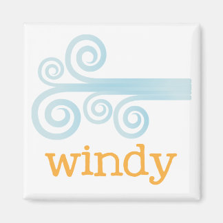 Imã Meteorologia da geladeira - WINDY