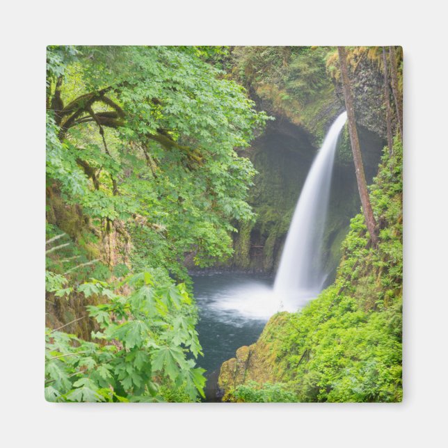 Imã Metlako Falls (Frente)