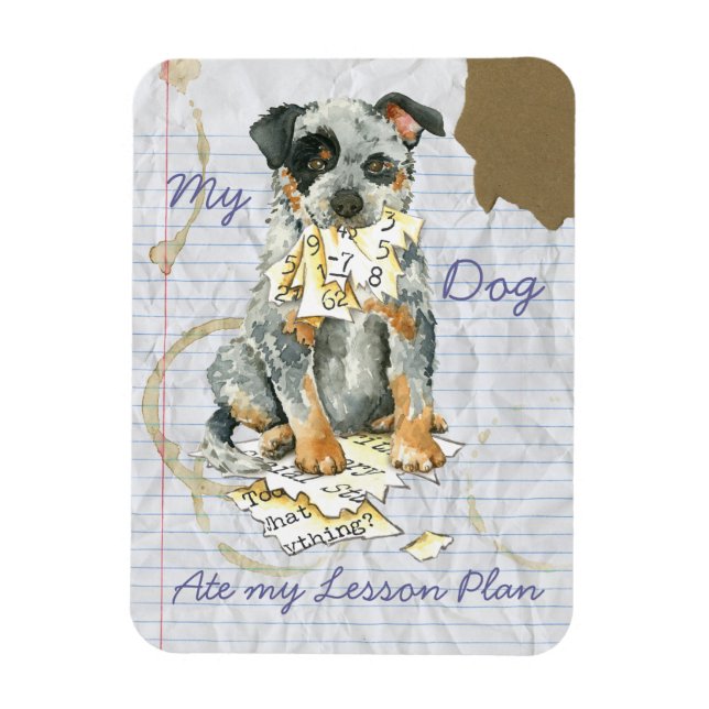 Ímã Meu ACD Comeu Meu Plano de Lição (Vertical)