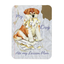 Meu Akita Ate Meu Plano De Lição