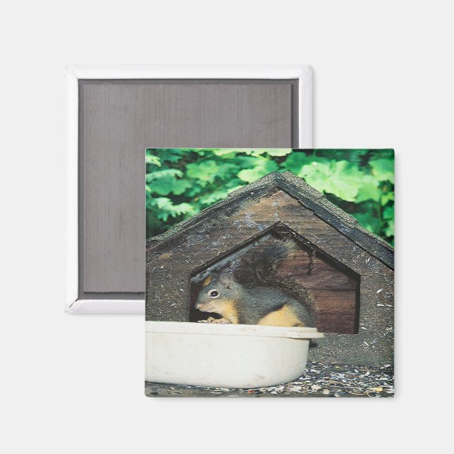 Imã Meu amigo... (Front/Back)