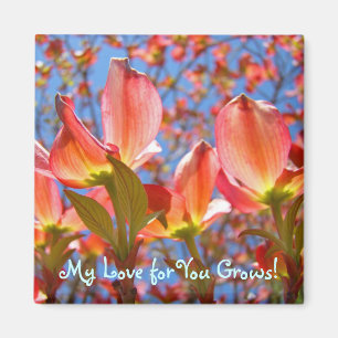 Imã Meu Amor por Você Cresce! ímãs Pink Dogwood Tree