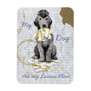 Ímã Meu Bedlington Terrier Comeu Meu Plano De Lição