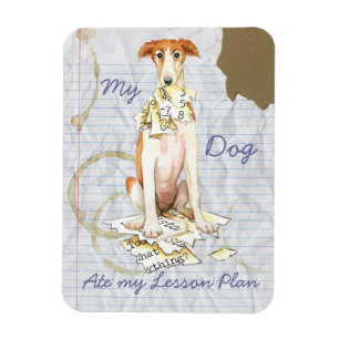 Ímã Meu Borzoi comeu meu plano de aula