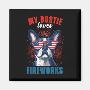 Imã Meu Boston Terrier ama fogos de artifício no dia 4