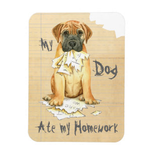 Ímã Meu Bullmastiff Comeu Minha Homework