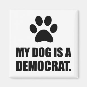 Imã Meu cão é um político engraçado de Democrata