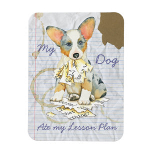 Ímã Meu Cardigan Welsh Corgi Comeu meu Plano de Liçã