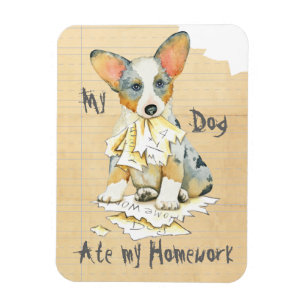 Ímã Meu Cardigan Welsh Corgi Comeu minha Homework