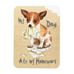 Ímã Meu Chihuahua Comeu Meu Trabalho De Casa