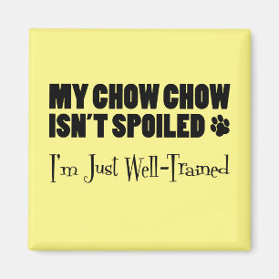 Imã Meu Chow Chow não está mimado. Estou bem treinado.